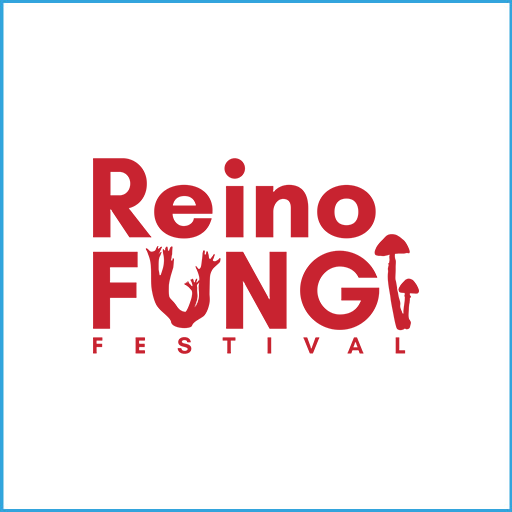 Festival Reino Fungi